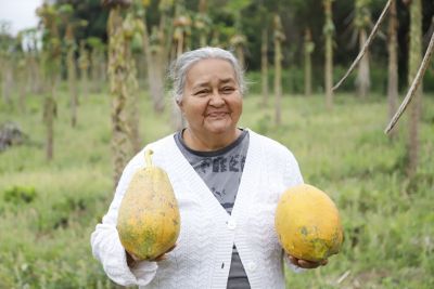 productora Tenondera